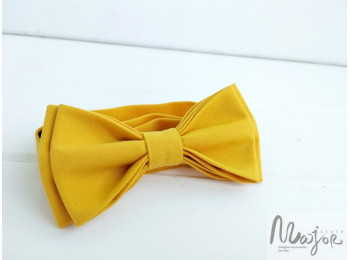 Жовта метелик-краватка 